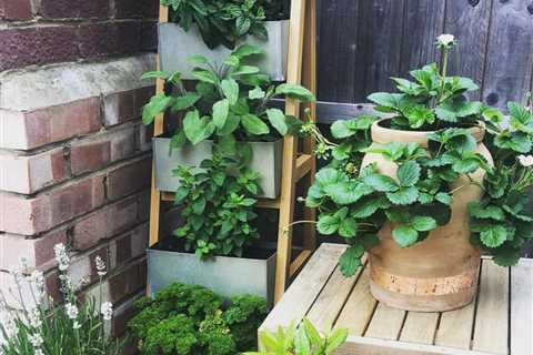 10 Herb Garden Ideas