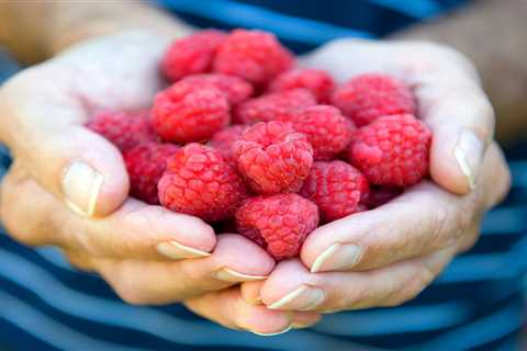 How To Grow Raspberries