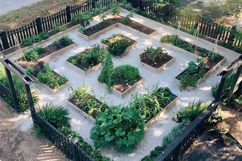 10 Vegetable Garden Design Ideas