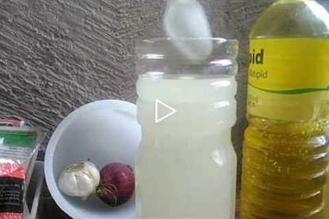 Homemade Insecticide for Plants (With English Subtitle)