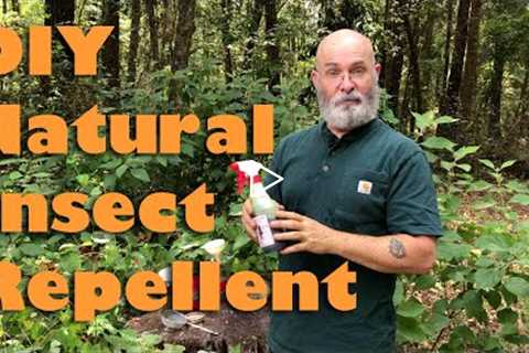 Natural Insect Repellent with Beautyberry