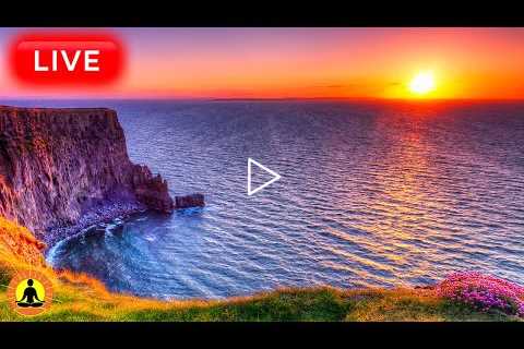 🔴 Relaxing Music 24/7, Stress Relief Music, Sleep Music, Meditation Music, Study, Calming Music