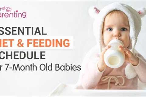 7 Month Old Baby Feeding Schedule, Food Recipes and Tips
