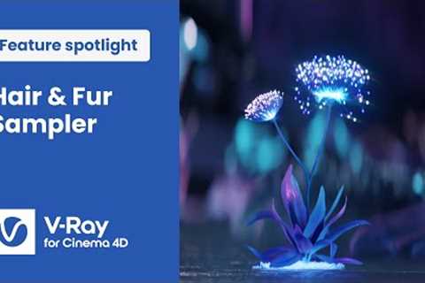 V-Ray 6 for Cinema 4D — Adding variation to hair and fur systems