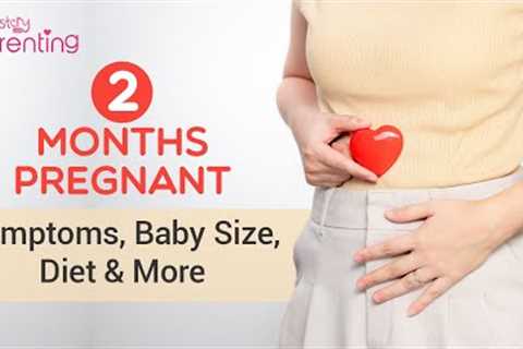 2nd Month of Pregnancy – Symptoms, Baby Development, What to Eat & more
