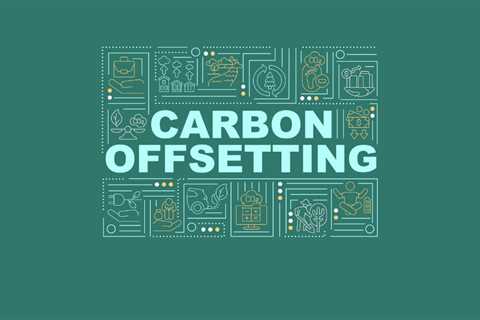What Makes a Good Carbon Offset?