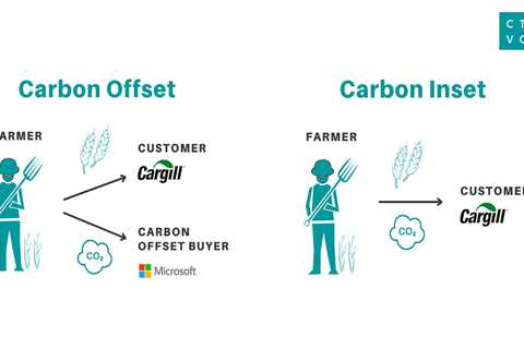 What Does it Mean to Offset Carbon Emissions?