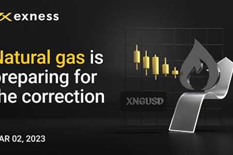 Natural gas is preparing for the correction