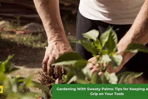 Gardening With Sweaty Palms: Tips for Keeping a Firm Grip on Your Tools