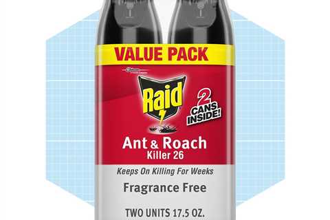 7 Best Roach Killers for Apartments