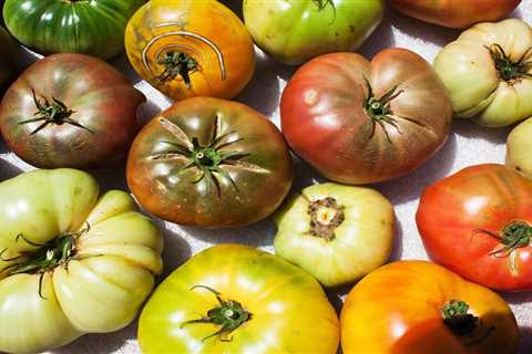 What Are Heirloom Seeds?