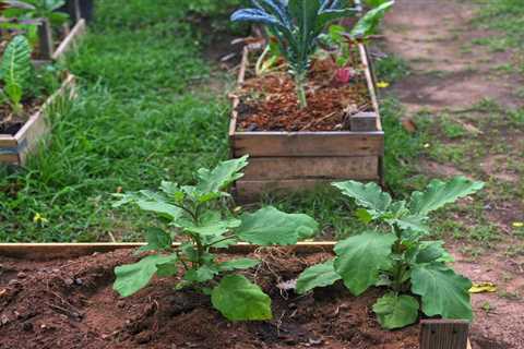 A Guide To Sustainable Gardening