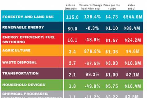 Why Is Carbon Offset Controversial?