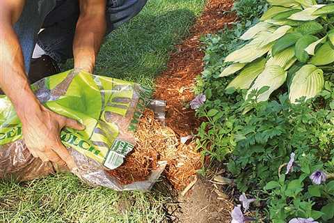 Ditch Plastic Landscape Edging for Natural Mulch