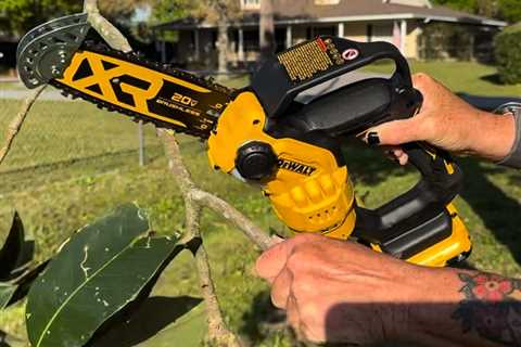 5 Best Mini Chainsaws, Tested and Reviewed