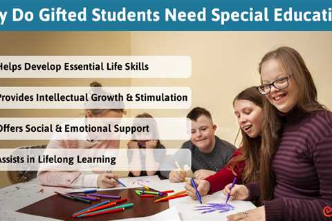 Why Do Gifted Students Need Special Education?