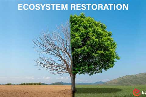 Ecosystem Restoration