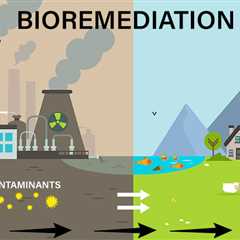 What is Bioremediation