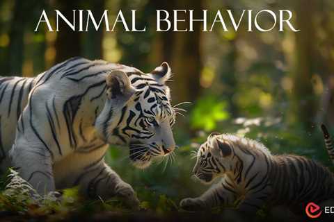 Animal Behavior