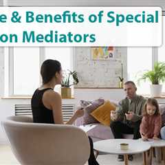 Special Education Mediators