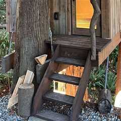 Building Your Own Treehouse: A Guide to Home Renovations and DIY Carpentry Projects