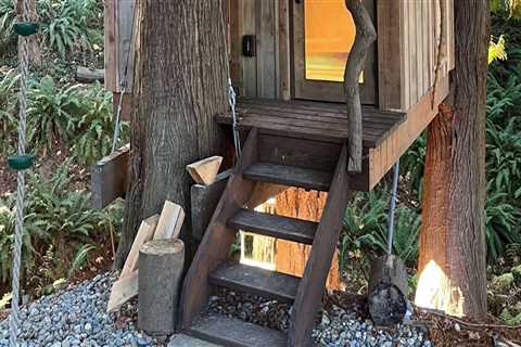 Building Your Own Treehouse: A Guide to Home Renovations and DIY Carpentry Projects