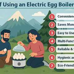 Electric Egg Boiler for Travel