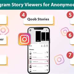 Best Instagram Story Viewers