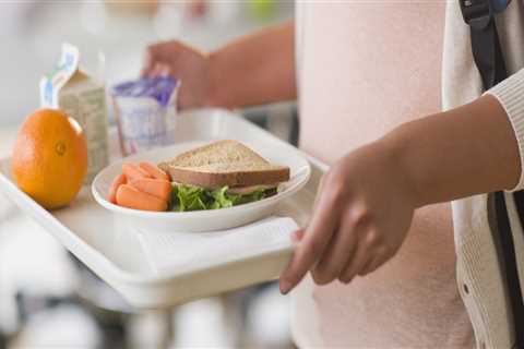 The Impact of Free and Reduced Lunch Programs on Schools in Anoka County, Minnesota: An Expert's..