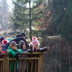 The Growing Emphasis on Environmental Education in Vancouver, Washington
