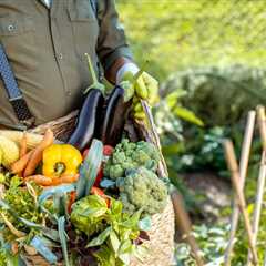Bacolod to host ‘biggest sustainable gastronomy event in Asia and Pacific’