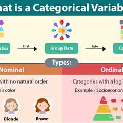 Categorical Variable