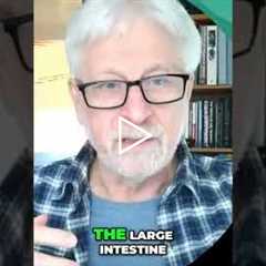 Inflammation Location Indicates Gut Issues #shorts