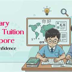 Secondary Chinese Tuition in Singapore