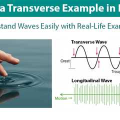 Transverse Example in Physics