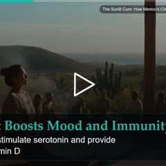 The Sunlit Cure: How Mexico's Climate Supports Natural Healing