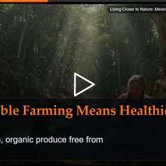 Living Closer to Nature: Mexico's Blueprint for Natural Health