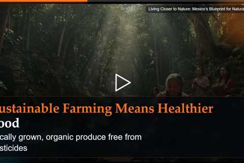 Living Closer to Nature: Mexico's Blueprint for Natural Health
