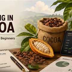 Cocoa in 2026: 7 Things Every Investor Should Know Before Getting Started