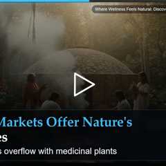 Where Wellness Feels Natural: Discovering Mexico's Healing Culture