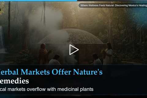 Where Wellness Feels Natural: Discovering Mexico's Healing Culture